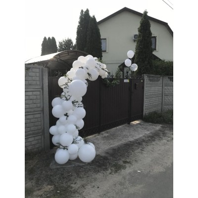 Гірлянда з кульок Органік на заручини. Сади Дніпра. Гірлянда з кульок Органік на заручини. Сади Дніпра.